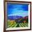 Napa Valley-Herb Dickinson-Framed Photographic Print