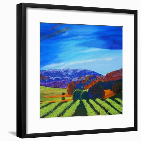 Napa Valley-Herb Dickinson-Framed Photographic Print