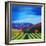 Napa Valley-Herb Dickinson-Framed Photographic Print