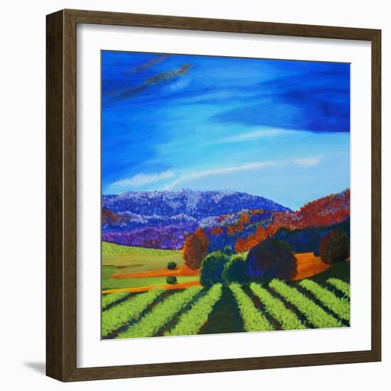 Napa Valley-Herb Dickinson-Framed Photographic Print