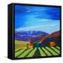 Napa Valley-Herb Dickinson-Framed Stretched Canvas