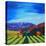 Napa Valley-Herb Dickinson-Stretched Canvas