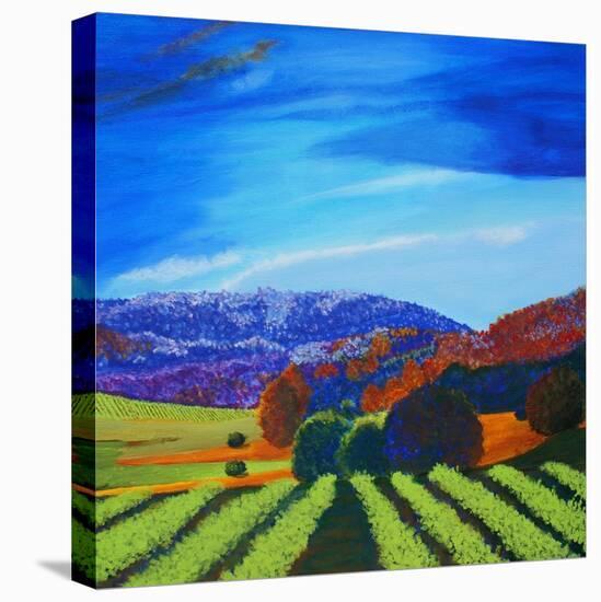 Napa Valley-Herb Dickinson-Stretched Canvas