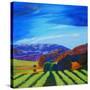 Napa Valley-Herb Dickinson-Stretched Canvas