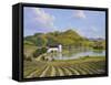 Napa Valley-Eduardo Camoes-Framed Stretched Canvas