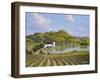 Napa Valley-Eduardo Camoes-Framed Giclee Print