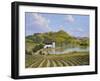 Napa Valley-Eduardo Camoes-Framed Giclee Print