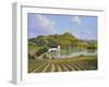 Napa Valley-Eduardo Camoes-Framed Giclee Print