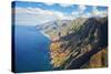 Napali Coastline-Terry Eggers-Stretched Canvas
