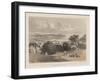 Napha from Bamboo Village, Litho by Sarony and Co., 1855-Peter Bernhard Wilhelm Heine-Framed Giclee Print