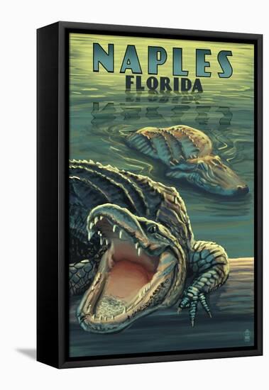Naples, Florida - Alligators-Lantern Press-Framed Stretched Canvas