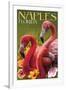 Naples, Florida - Flamingos-Lantern Press-Framed Art Print