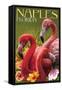 Naples, Florida - Flamingos-Lantern Press-Framed Stretched Canvas