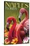 Naples, Florida - Flamingos-Lantern Press-Stretched Canvas