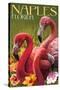 Naples, Florida - Flamingos-Lantern Press-Stretched Canvas