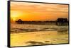 Naples Florida Pier at Sunset-Philippe Hugonnard-Framed Stretched Canvas