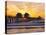 Naples, Florida, USA. People Gathered on the Pier at Sunset-Fraser Hall-Stretched Canvas