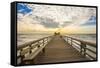 Naples Pier 3-Dennis Goodman-Framed Stretched Canvas