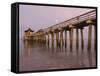 Naples Pier, Naples, Florida, USA-Walter Bibikow-Framed Stretched Canvas