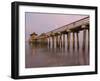 Naples Pier, Naples, Florida, USA-Walter Bibikow-Framed Photographic Print