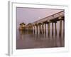 Naples Pier, Naples, Florida, USA-Walter Bibikow-Framed Photographic Print