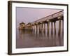 Naples Pier, Naples, Florida, USA-Walter Bibikow-Framed Photographic Print