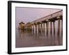 Naples Pier, Naples, Florida, USA-Walter Bibikow-Framed Photographic Print