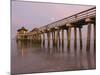 Naples Pier, Naples, Florida, USA-Walter Bibikow-Mounted Photographic Print