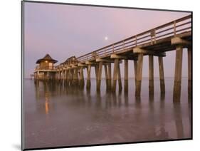 Naples Pier, Naples, Florida, USA-Walter Bibikow-Mounted Photographic Print