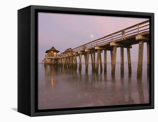 Naples Pier, Naples, Florida, USA-Walter Bibikow-Framed Stretched Canvas