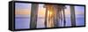 Naples Pier Panoramic II-Moises Levy-Framed Stretched Canvas