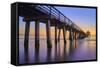 Naples Pier Panoramic III-Moises Levy-Framed Stretched Canvas