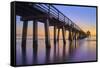 Naples Pier Panoramic III-Moises Levy-Framed Stretched Canvas