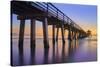 Naples Pier Panoramic III-Moises Levy-Stretched Canvas