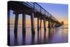 Naples Pier Panoramic III-Moises Levy-Stretched Canvas