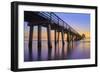 Naples Pier Panoramic III-Moises Levy-Framed Photographic Print