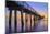 Naples Pier Panoramic III-Moises Levy-Mounted Photographic Print