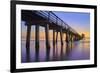 Naples Pier Panoramic III-Moises Levy-Framed Photographic Print