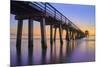 Naples Pier Panoramic III-Moises Levy-Mounted Photographic Print