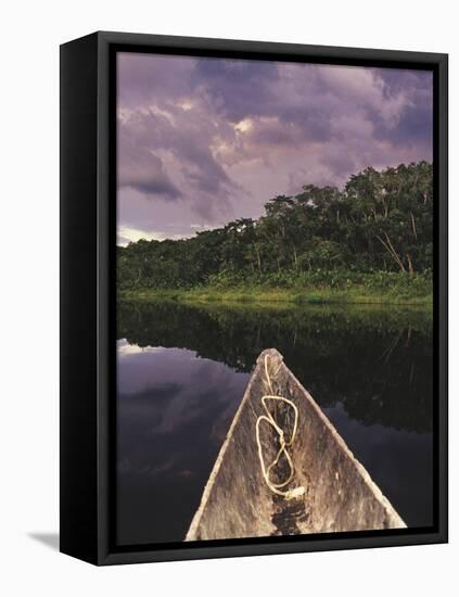 Napo Wildlife Center, Yasuni National Park, Amazon Basin, Ecuador-Christopher Bettencourt-Framed Stretched Canvas