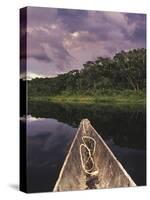 Napo Wildlife Center, Yasuni National Park, Amazon Basin, Ecuador-Christopher Bettencourt-Stretched Canvas