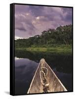 Napo Wildlife Center, Yasuni National Park, Amazon Basin, Ecuador-Christopher Bettencourt-Framed Stretched Canvas