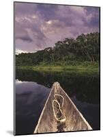 Napo Wildlife Center, Yasuni National Park, Amazon Basin, Ecuador-Christopher Bettencourt-Mounted Photographic Print