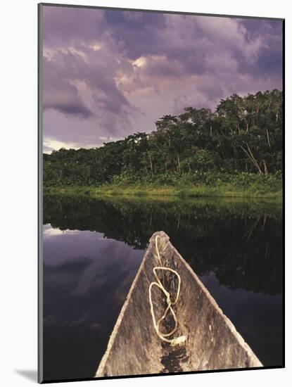 Napo Wildlife Center, Yasuni National Park, Amazon Basin, Ecuador-Christopher Bettencourt-Mounted Photographic Print