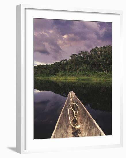 Napo Wildlife Center, Yasuni National Park, Amazon Basin, Ecuador-Christopher Bettencourt-Framed Photographic Print