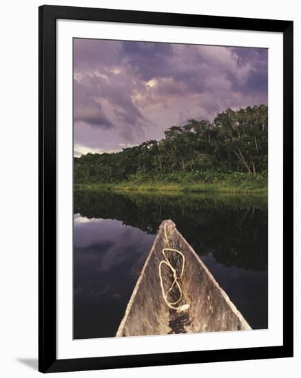 Napo Wildlife Center, Yasuni National Park, Amazon Basin, Ecuador-Christopher Bettencourt-Framed Photographic Print