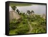 Napo Wildlife Centre Lodge, Aòangu Lake, Yasuni National Park, Ecuador-Pete Oxford-Framed Stretched Canvas