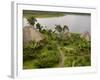 Napo Wildlife Centre Lodge, Aòangu Lake, Yasuni National Park, Ecuador-Pete Oxford-Framed Photographic Print