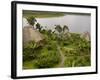 Napo Wildlife Centre Lodge, Aòangu Lake, Yasuni National Park, Ecuador-Pete Oxford-Framed Photographic Print