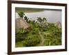 Napo Wildlife Centre Lodge, Aòangu Lake, Yasuni National Park, Ecuador-Pete Oxford-Framed Photographic Print